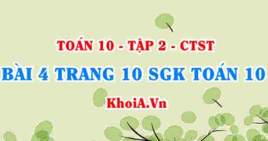 Bài 4 trang 10 SGK Toán 10 Tập 2 Chân trời sáng tạo